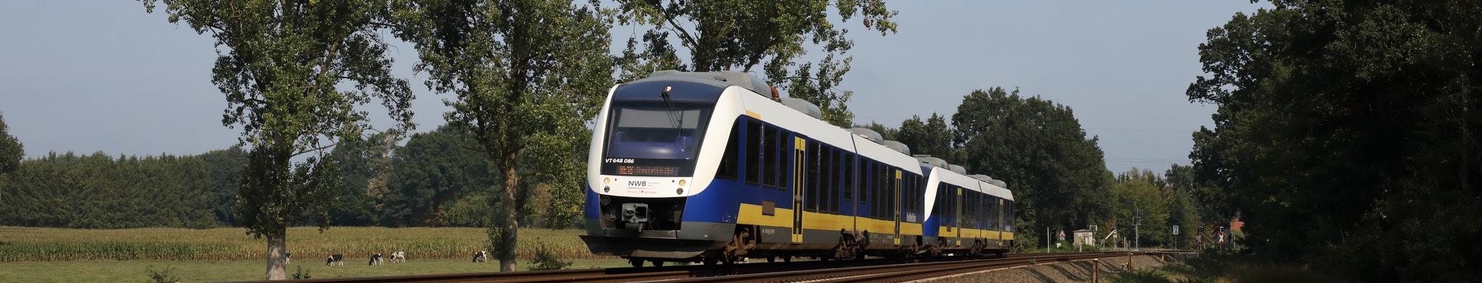 Blau gelb weisser Zug der Nord West Bahn auf freier Strecke